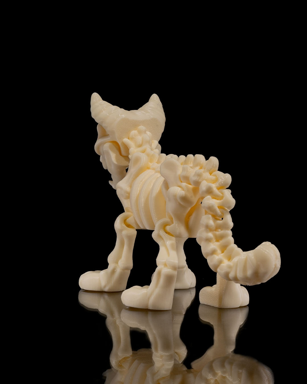 Skeletal Cat - Articulated, Great for Halloween!