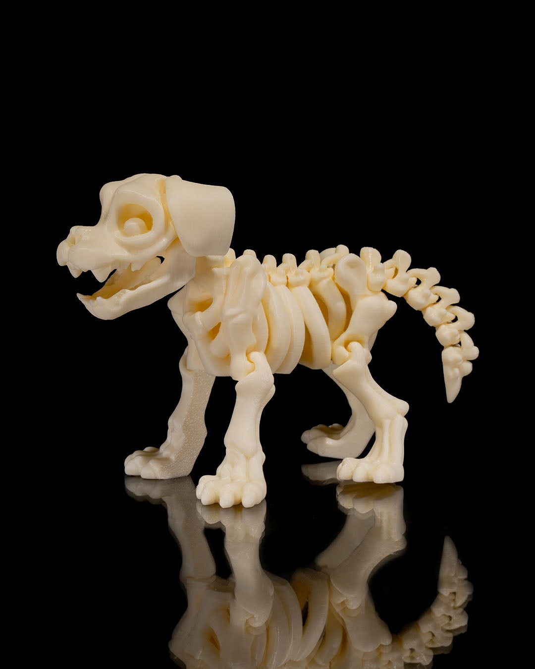 Skeletal Dog - Articulated, Great for Halloween or other spooky fun!