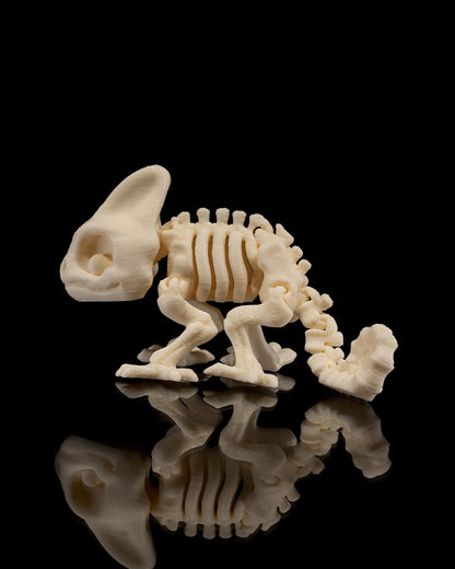 Skeletal Chameleon